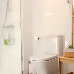 Domus
